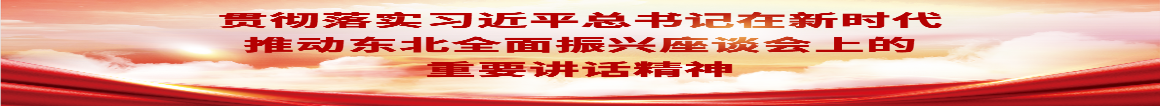 貫徹落實(shí)習(xí)近平總書(shū)記在新時(shí)代推動(dòng)?xùn)|北全面振興座談會(huì)上的重要講話精神